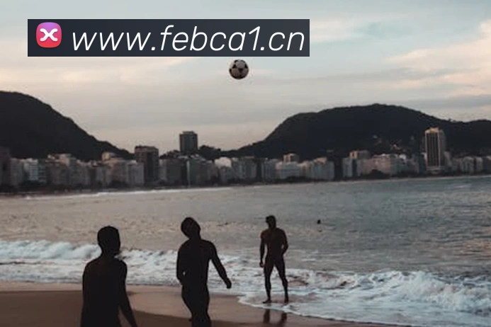 星空官方网页版平台生态图